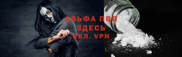 сатива Аркадак