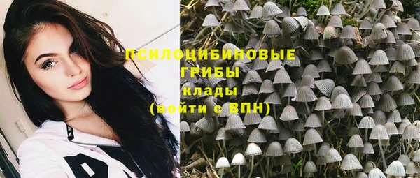 дмт Арсеньев