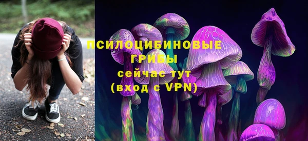 сатива Аркадак