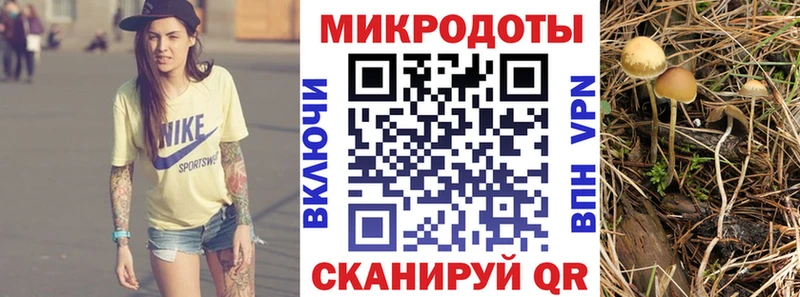 OMG рабочий сайт  Нововоронеж  Псилоцибиновые грибы мухоморы 
